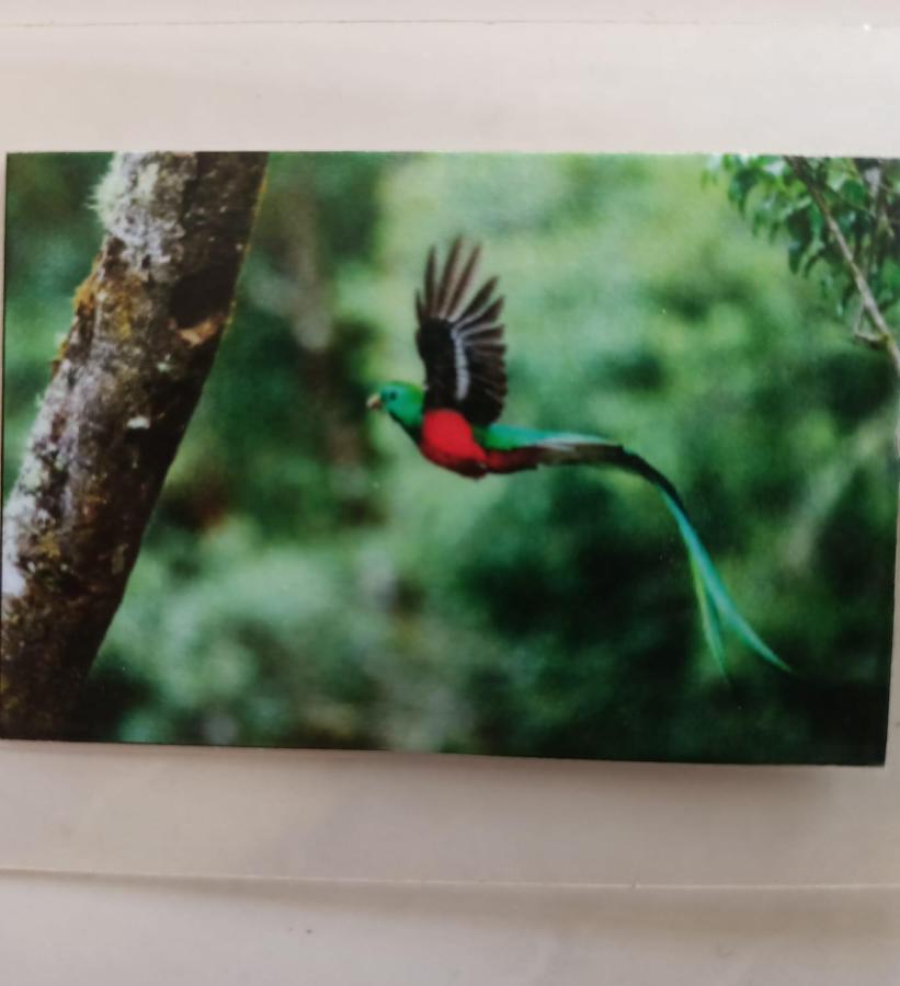 Апартаменты Quetzal Плая-дель-Кармен Экстерьер фото
